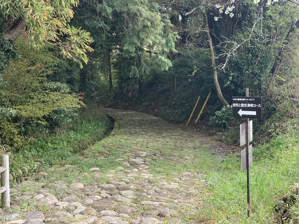 蓬莱橋（ほうらいばし）から茶畑をぬけて旧東海道の石畳でハーフの写真9