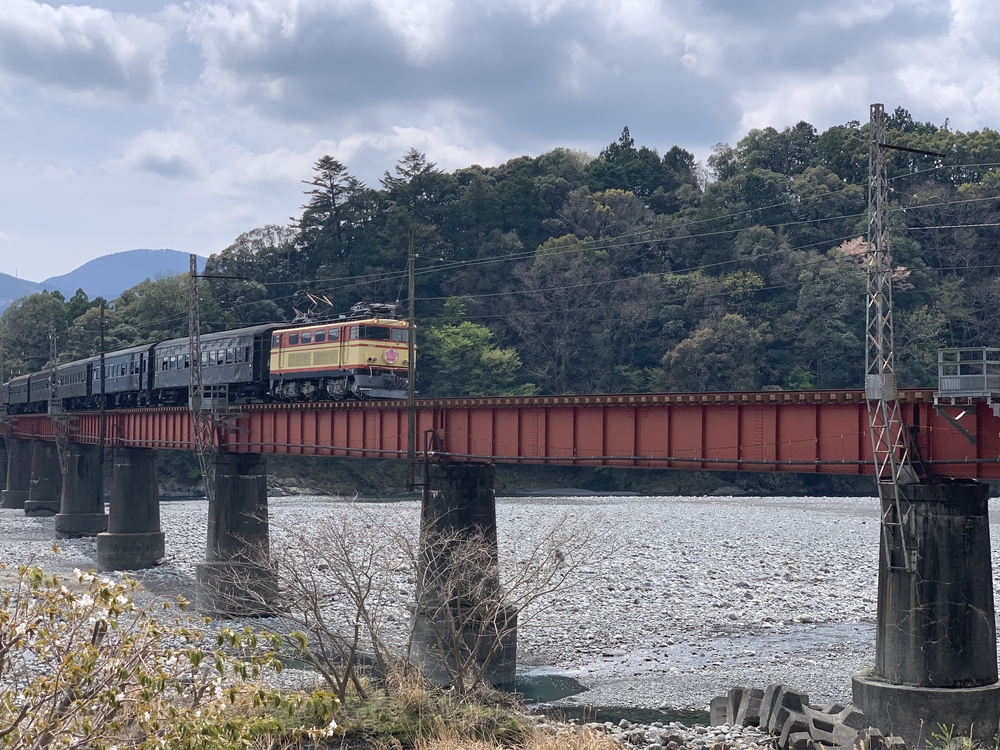 大井川 川根温泉から桜のトンネルを満喫の写真3