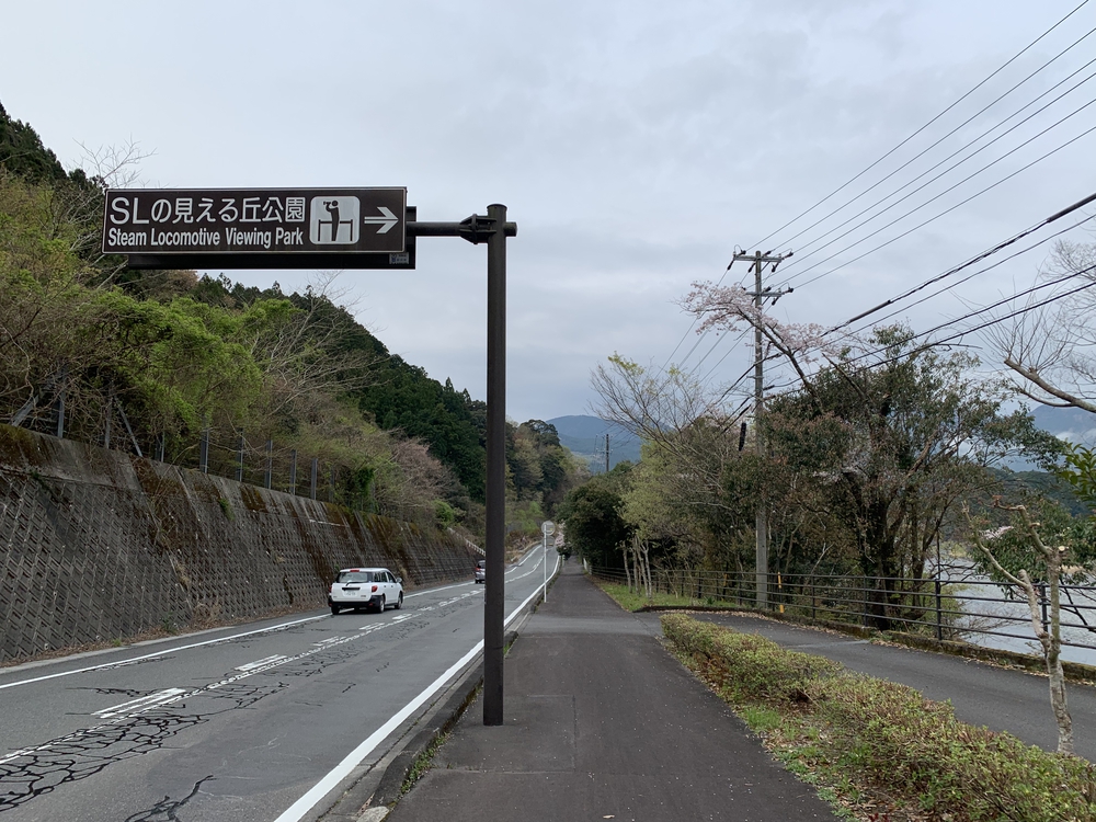 大井川 川根温泉から桜のトンネルを満喫の写真4