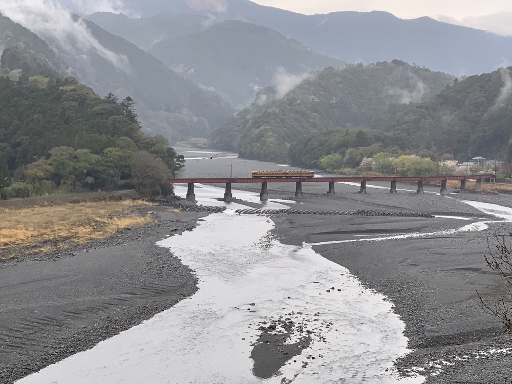 大井川 川根温泉から桜のトンネルを満喫の写真5