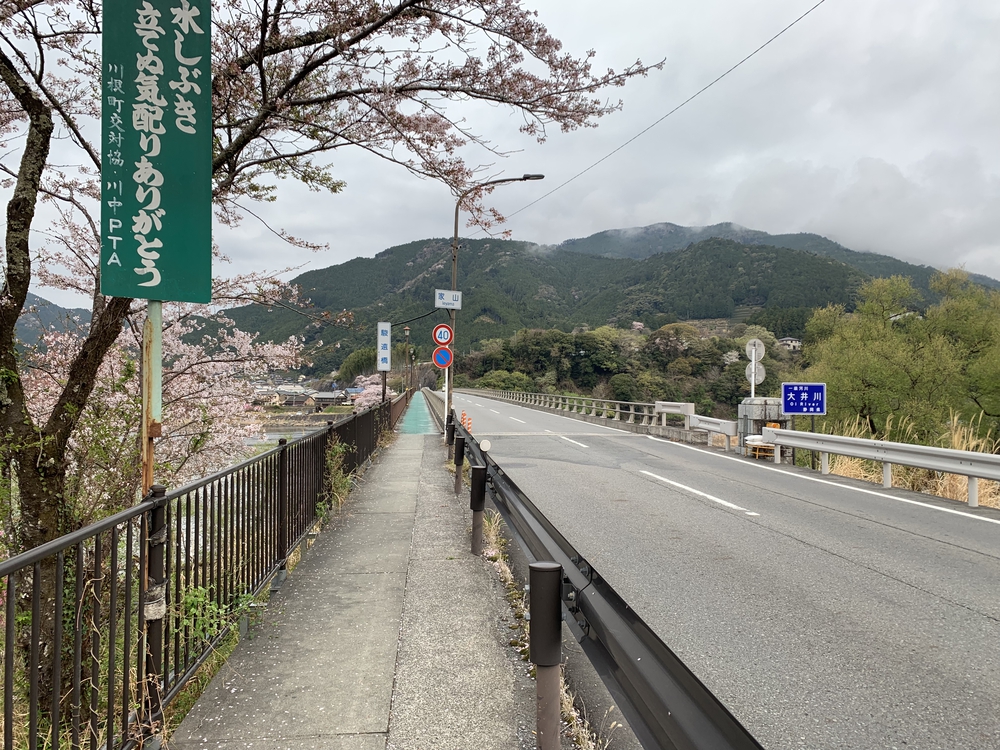 大井川 川根温泉から桜のトンネルを満喫の写真7