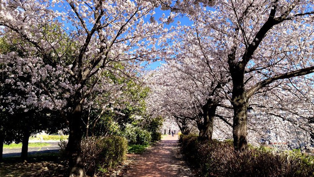 【昭和の偉人】安藤百福と松下幸之助の写真24