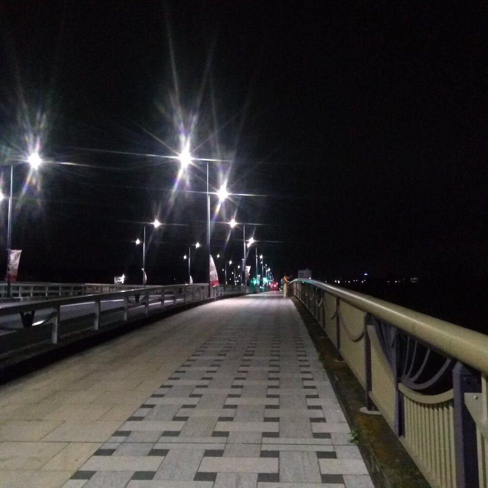 ニューイヤー駅伝100キロ周回コースの写真4