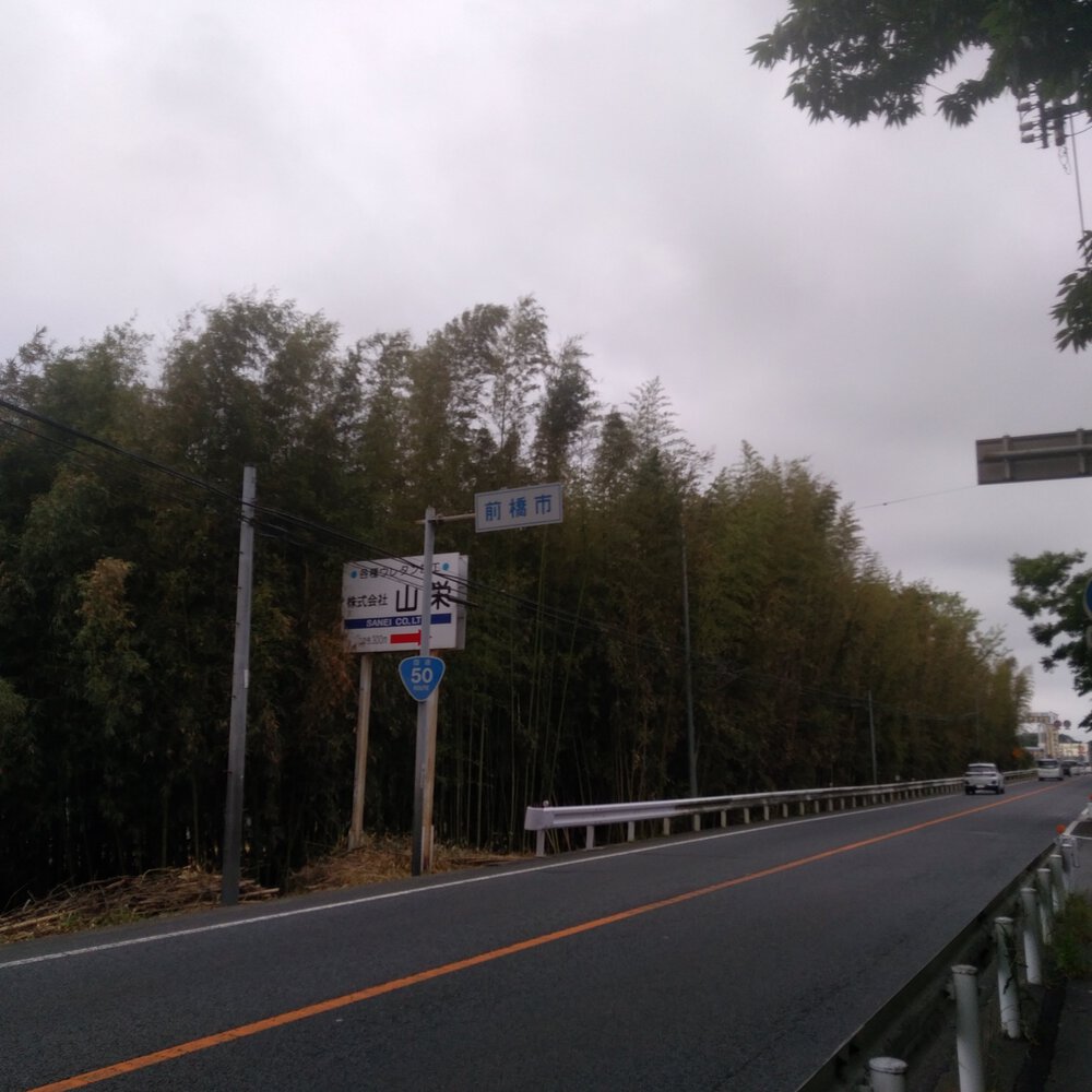 ニューイヤー駅伝100キロ周回コースの写真5