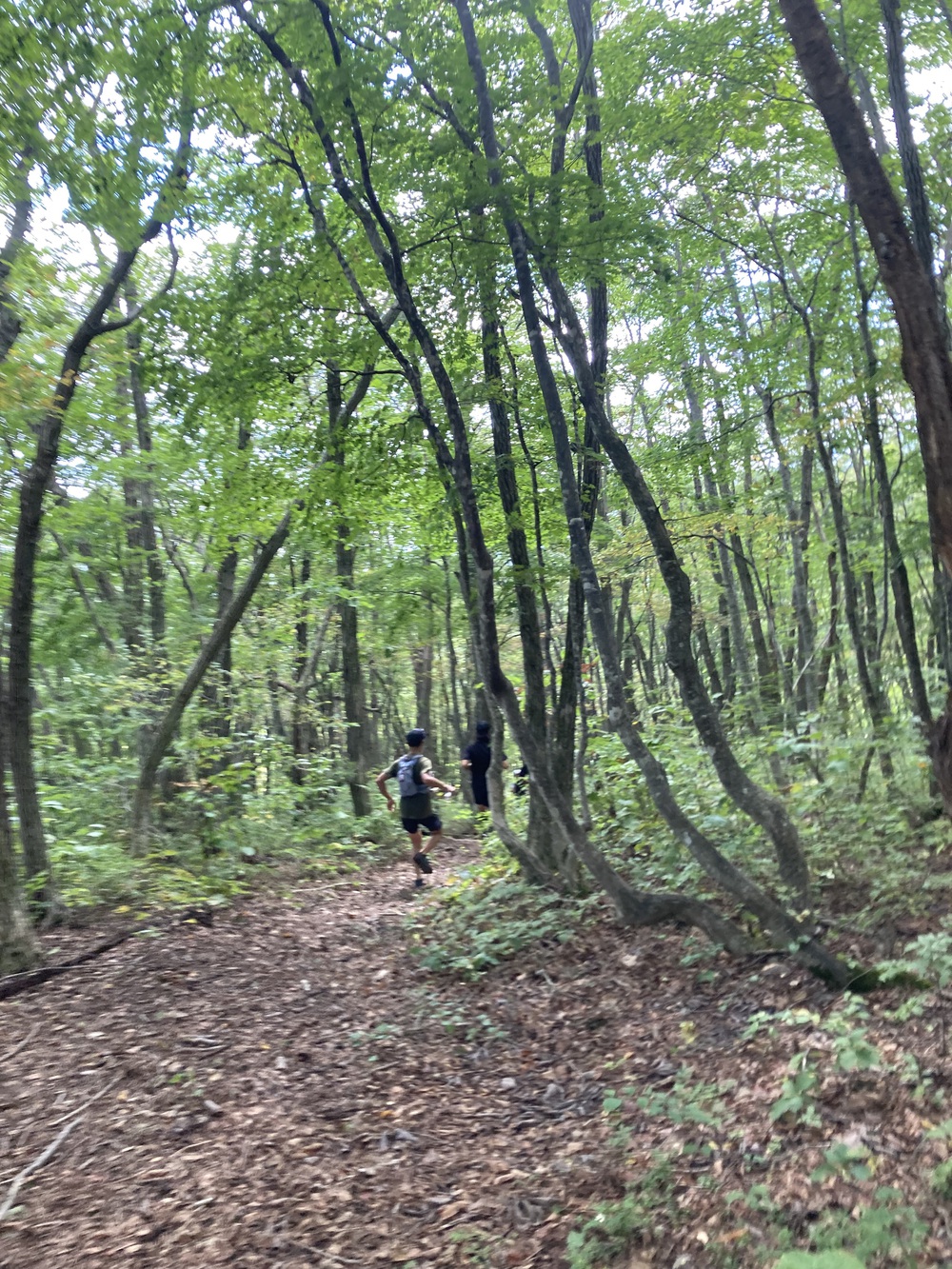 【絶景トレラン】ランテラス-小熊山パラグライダー場の写真7