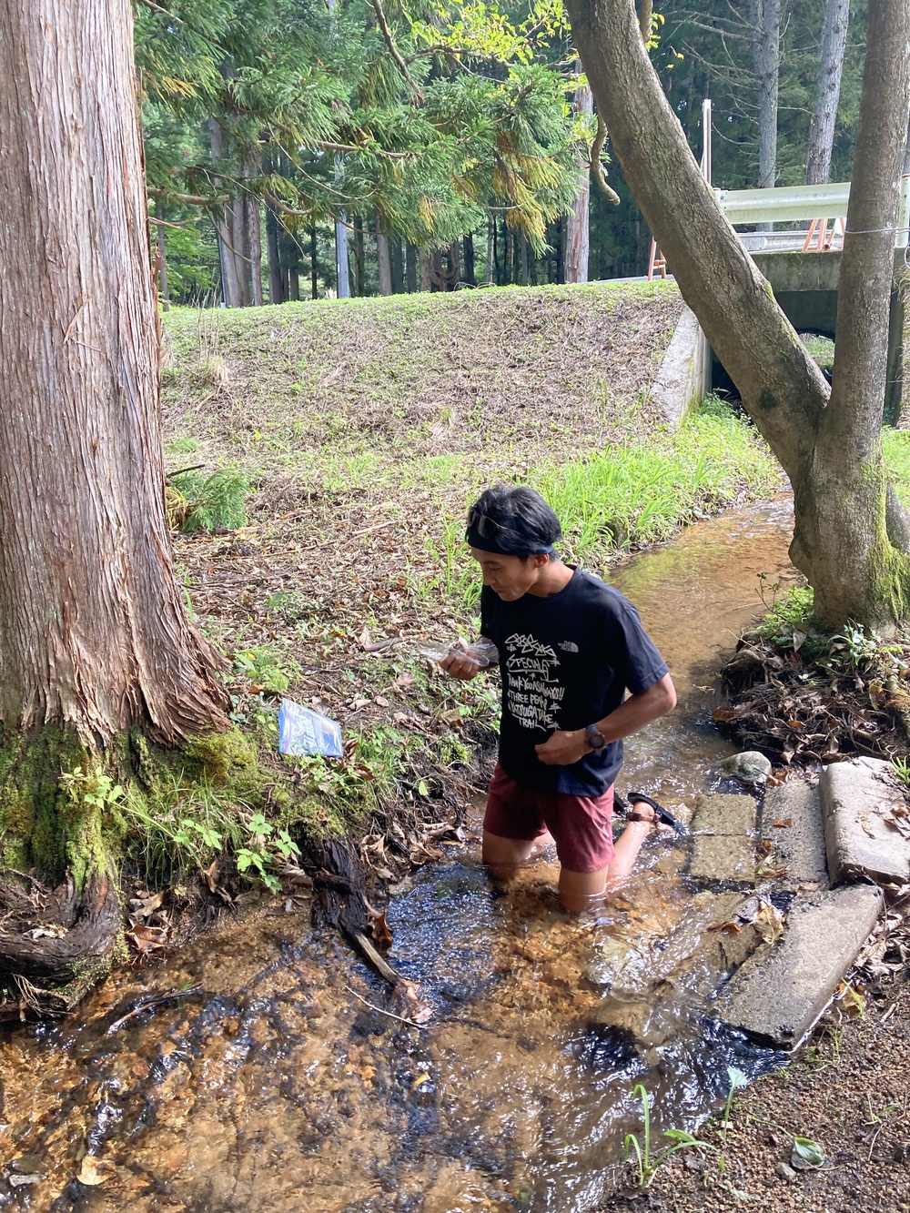 【絶景トレラン】ランテラス-小熊山パラグライダー場の写真9