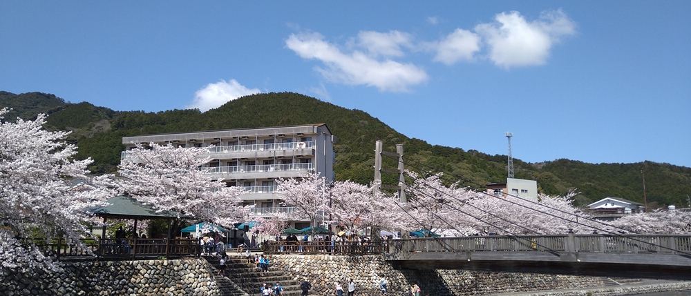 長門湯本温泉お花見ランの写真7