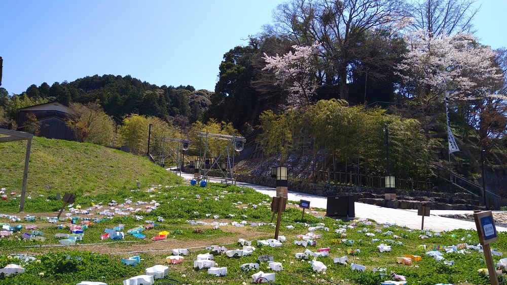 長門湯本温泉お花見ランの写真8