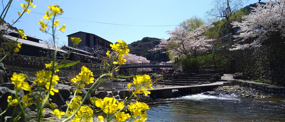 長門湯本温泉お花見ランの写真9
