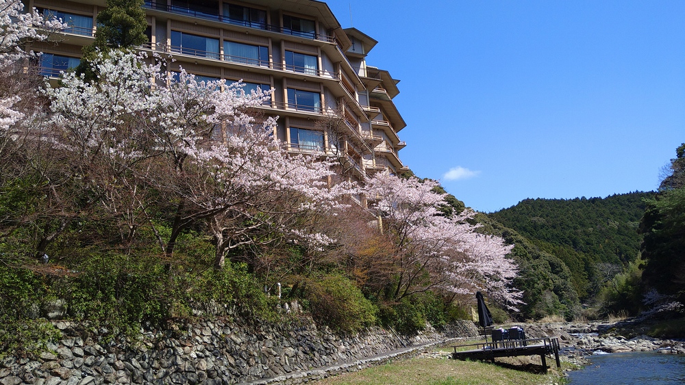 長門湯本温泉お花見ランの写真12