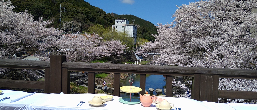 長門湯本温泉お花見ランの写真13