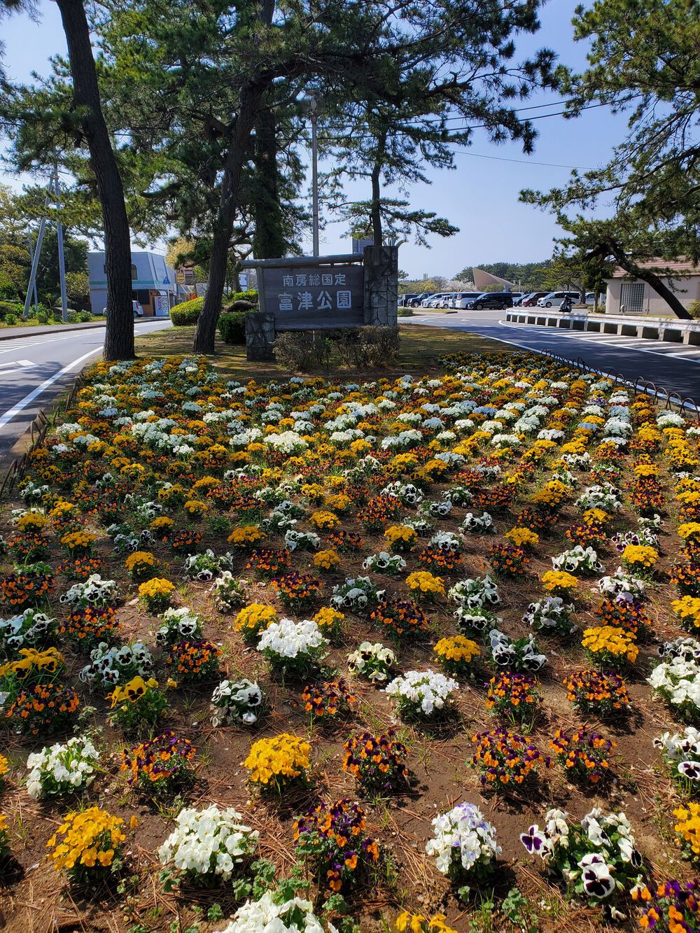 富津岬からの公園巡りRUN🏃‍♂️🏃‍♀️💨の写真3
