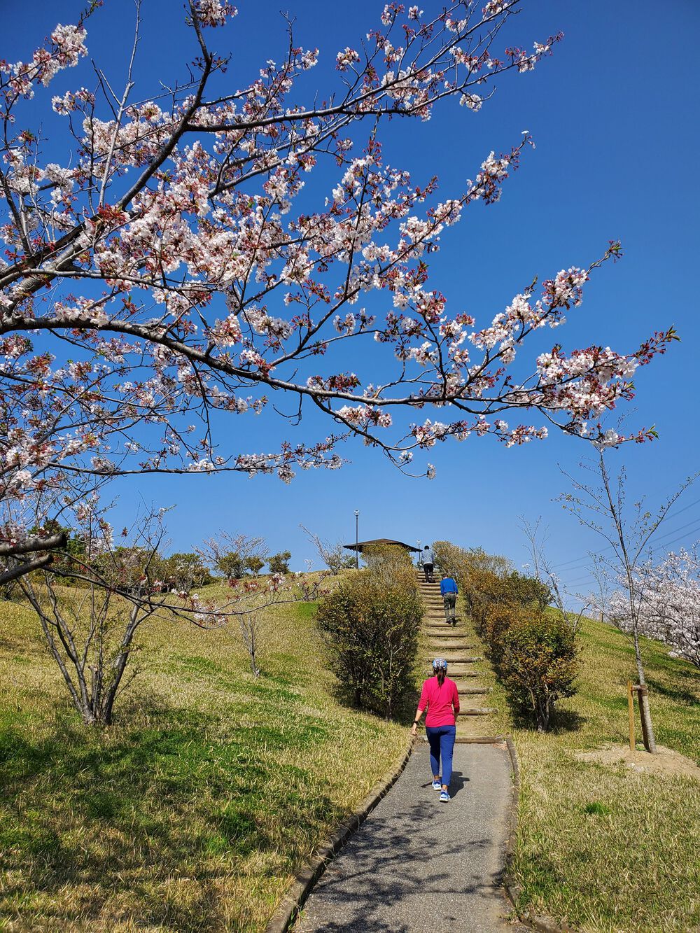 富津岬からの公園巡りRUN🏃‍♂️🏃‍♀️💨の写真5