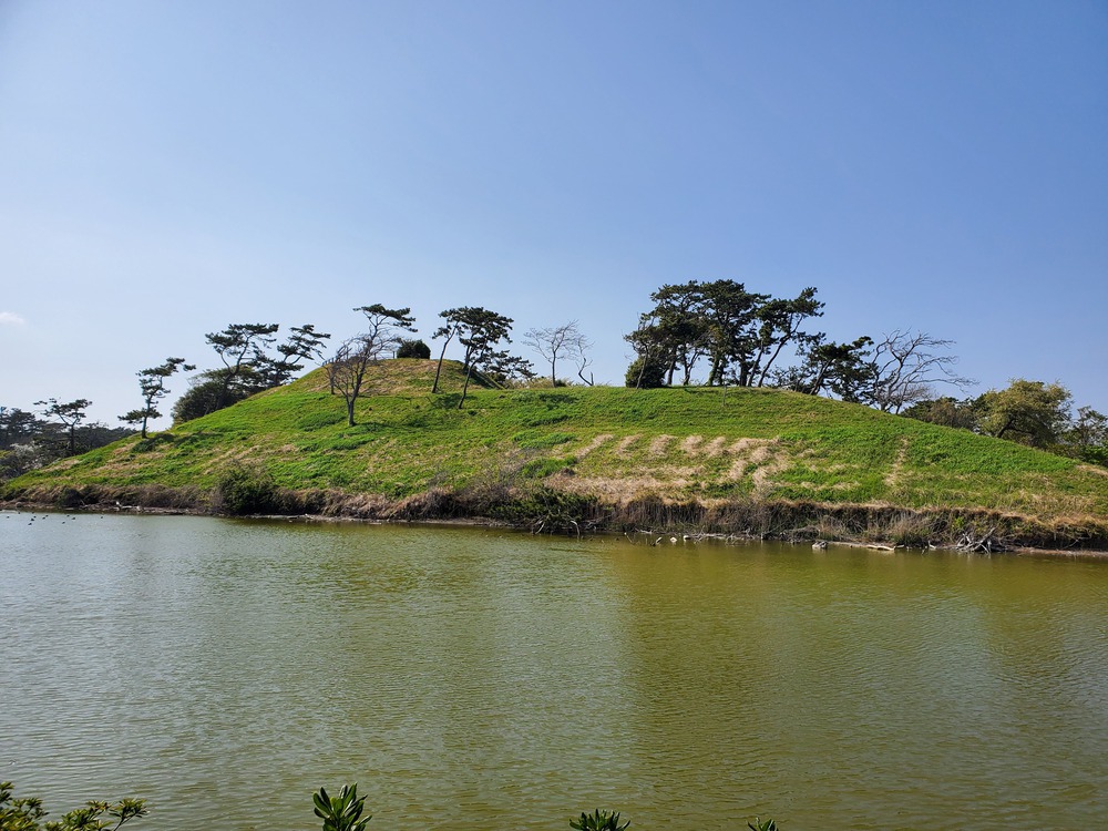 富津岬からの公園巡りRUN🏃‍♂️🏃‍♀️💨の写真6