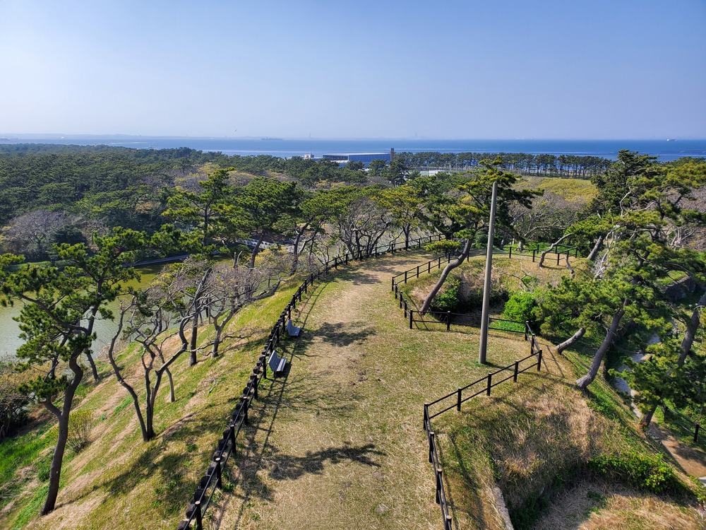 富津岬からの公園巡りRUN🏃‍♂️🏃‍♀️💨の写真7