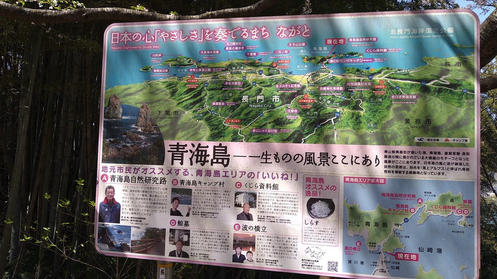 王子山公園より仙崎の町並みを望めるコースの写真7