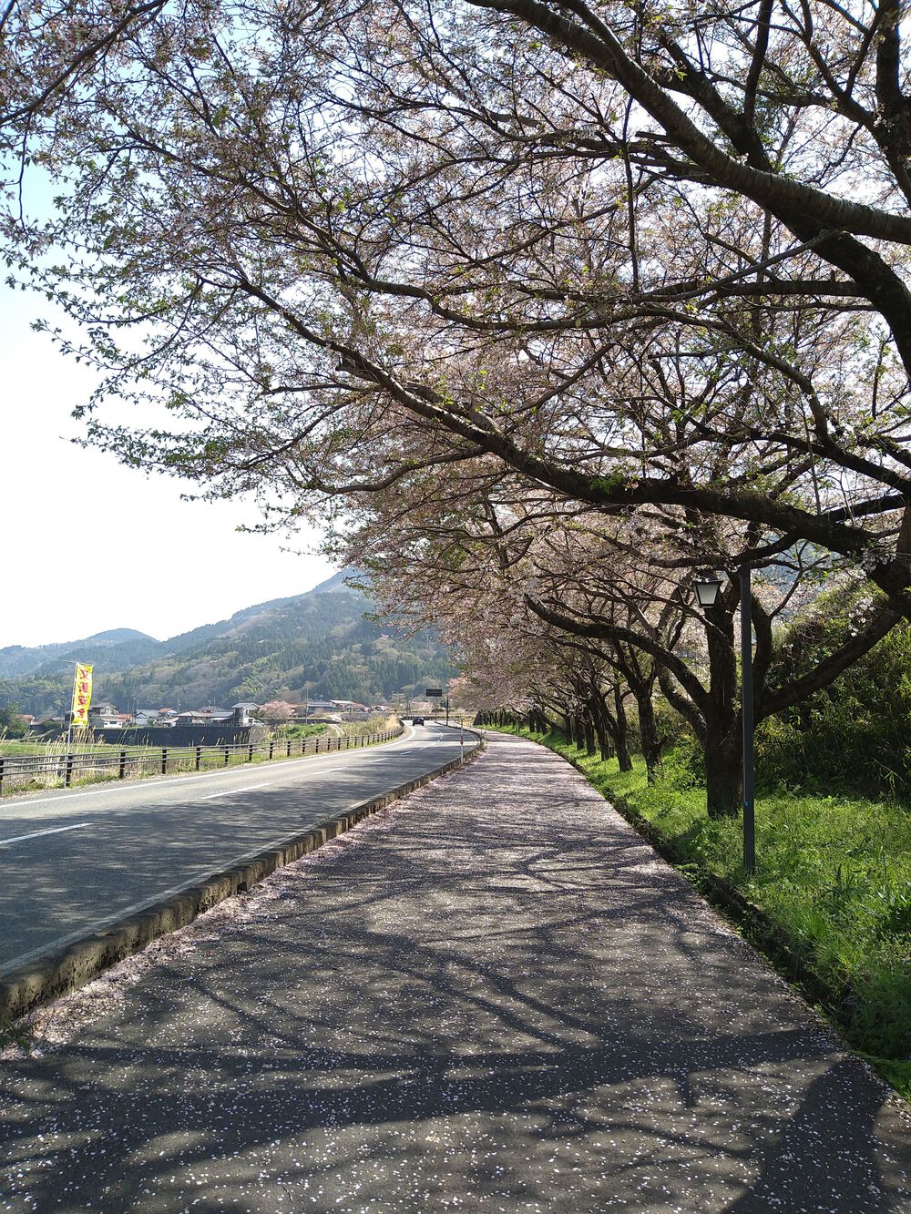 津和野城跡、太鼓稲荷神社を巡るプチトレランの写真3