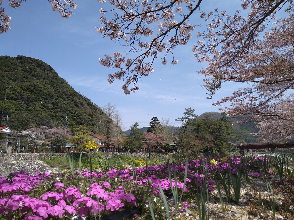 津和野城跡、太鼓稲荷神社を巡るプチトレランの写真15