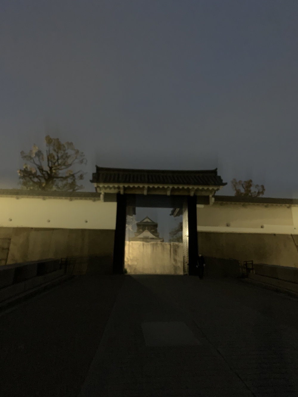 大阪城周回〜本丸外堀の写真5