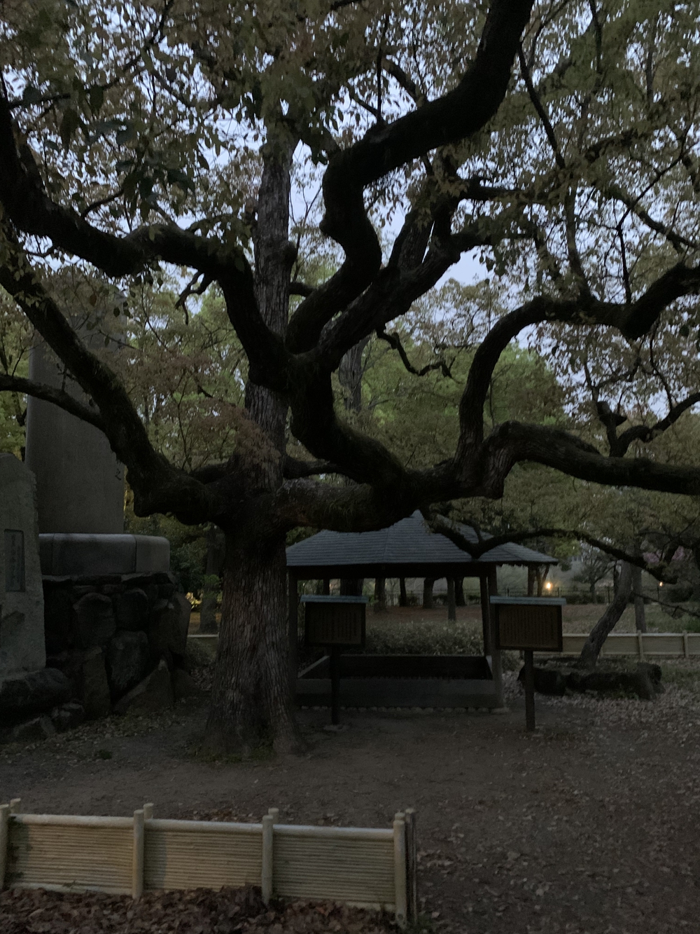 大阪城周回〜本丸外堀の写真9