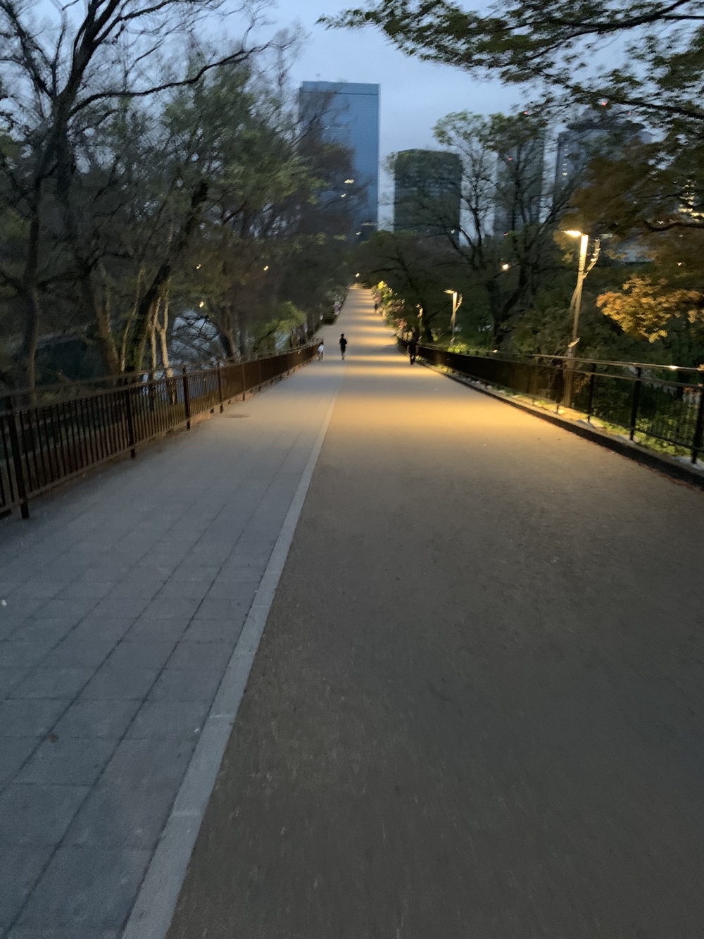 大阪城周回〜本丸外堀の写真10