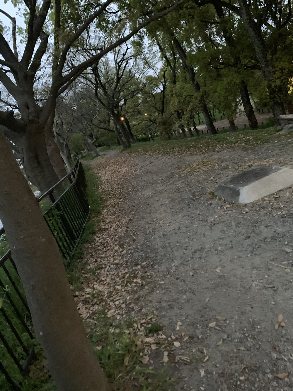 大阪城周回〜本丸外堀の写真11