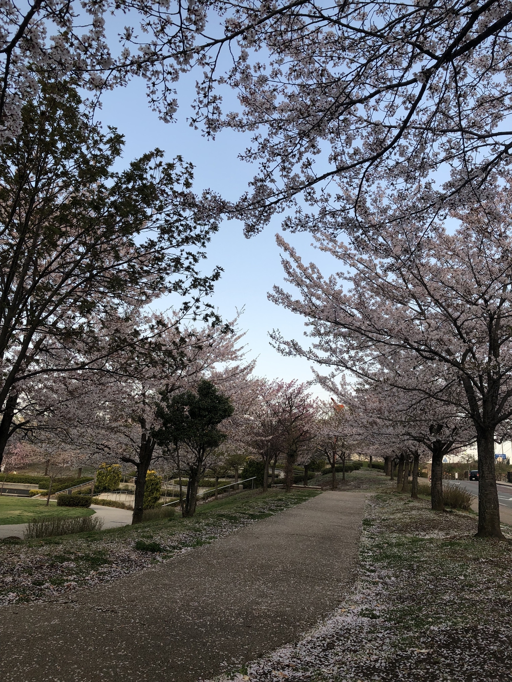 長野駅前周辺！！善光寺 RUN7kmの写真6