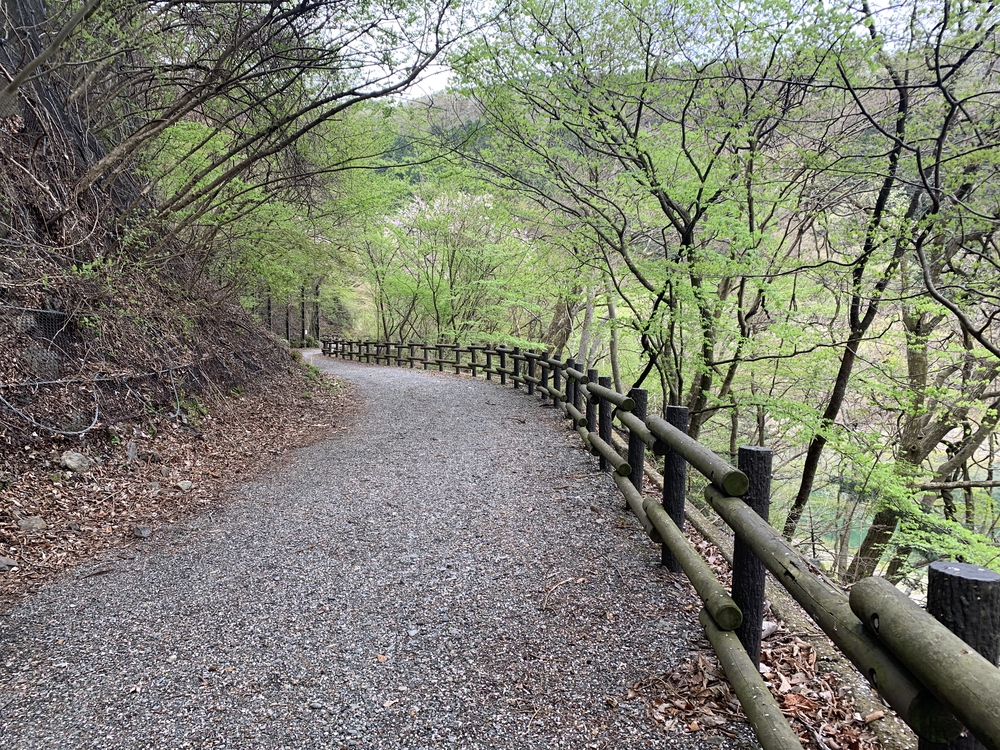 奥多摩湖を周回 ドラム缶橋は通行止めの写真7