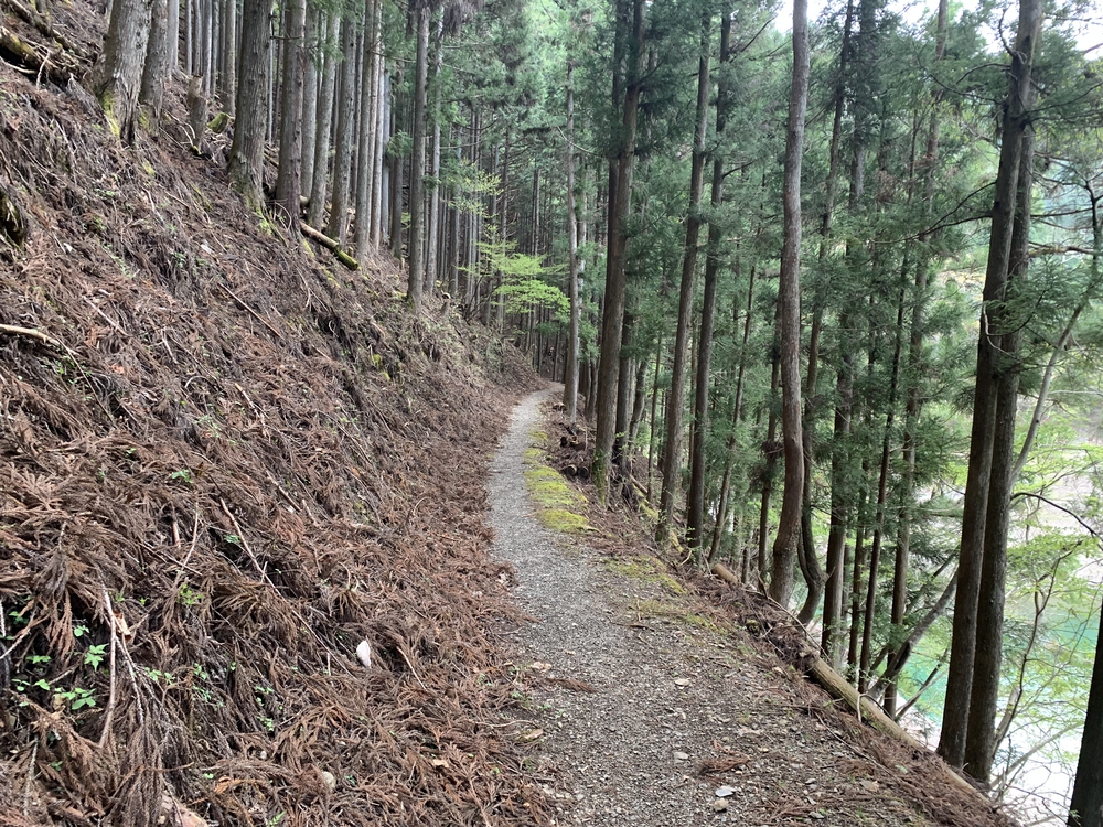 奥多摩湖を周回 ドラム缶橋は通行止めの写真8