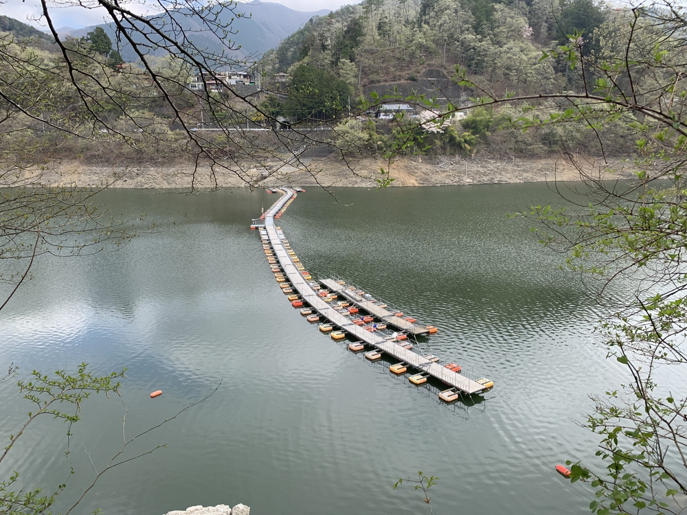 奥多摩湖を周回 ドラム缶橋は通行止めの写真10
