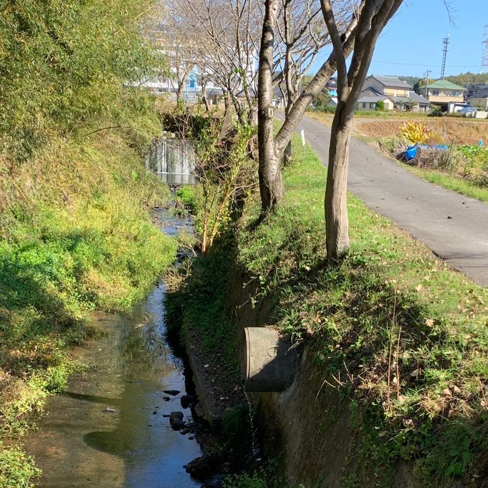 名古屋：天白川・走破コースの写真3