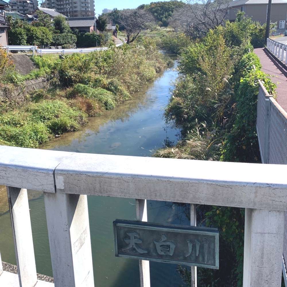 名古屋：天白川・走破コースの写真4