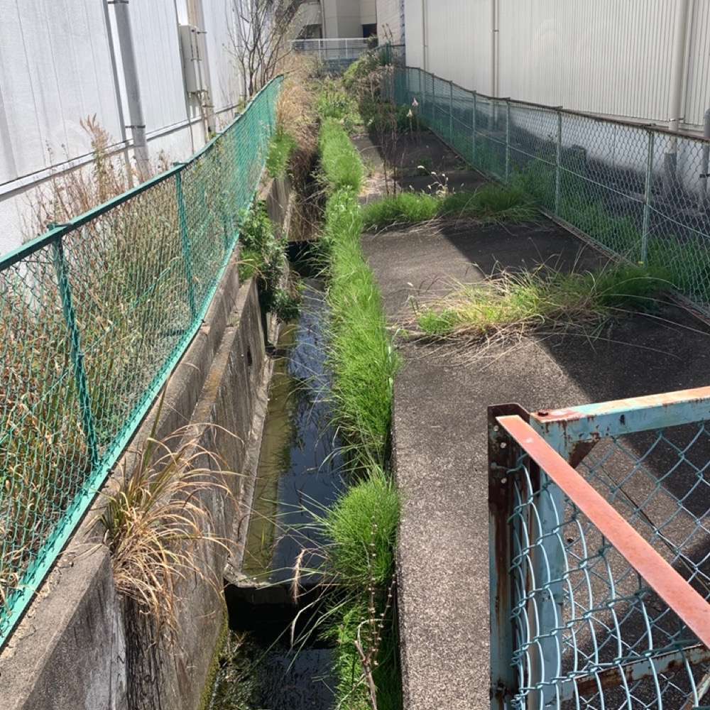 名古屋：天白区界・走破コースの写真4