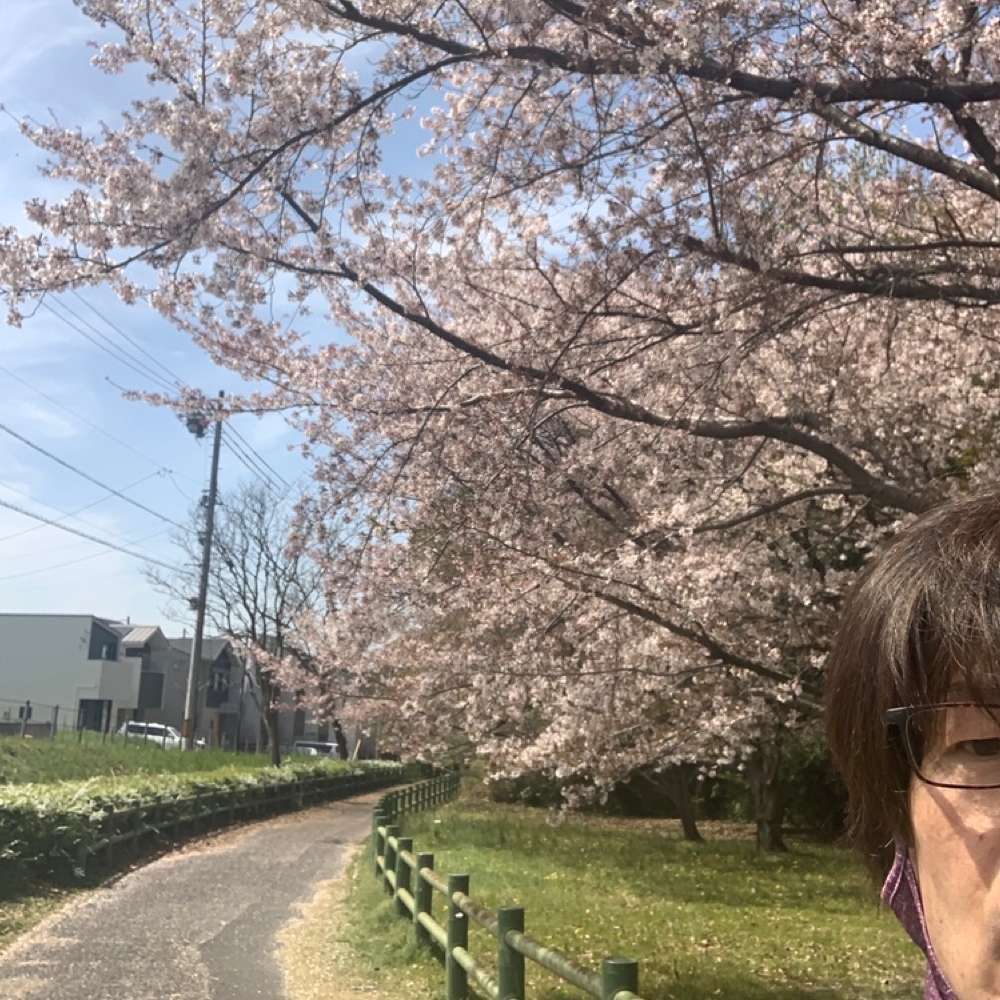 名古屋：天白区界・走破コースの写真5