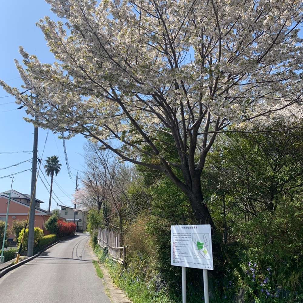 名古屋：天白区界・走破コースの写真7