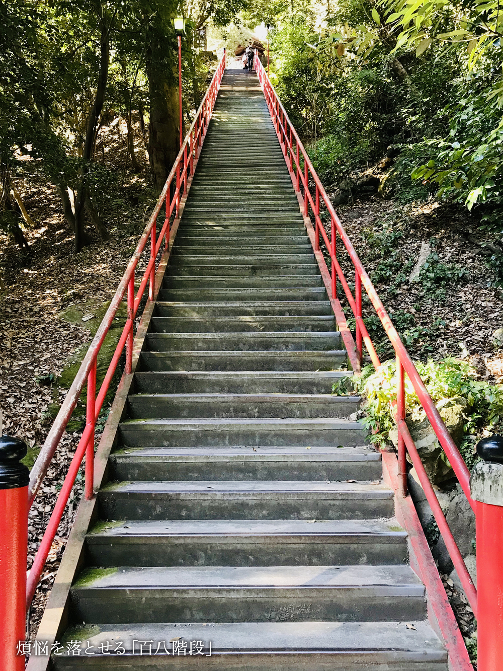 空海の故郷を巡るお遍路ラン（七ヶ所まいり）の写真3