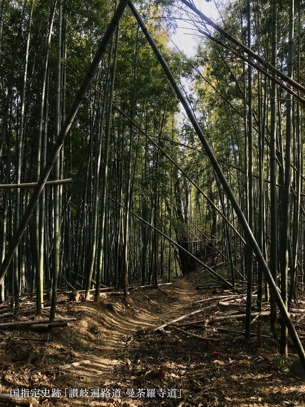 空海の故郷を巡るお遍路ラン（七ヶ所まいり）の写真6