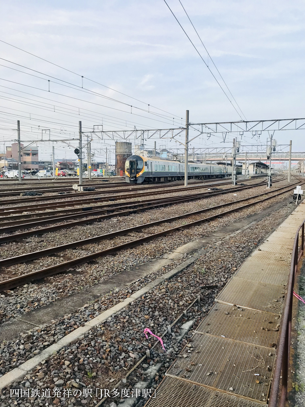 空海の故郷を巡るお遍路ラン（七ヶ所まいり）の写真20