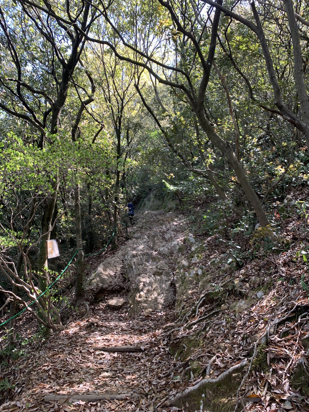 岐阜　金華山　百曲がり〜七曲がりの写真3