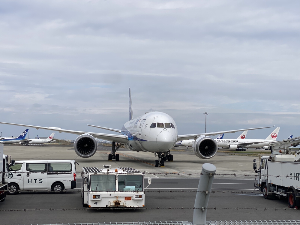 川崎大師から羽田経由蒲田まで見所満載のマラニックの写真18