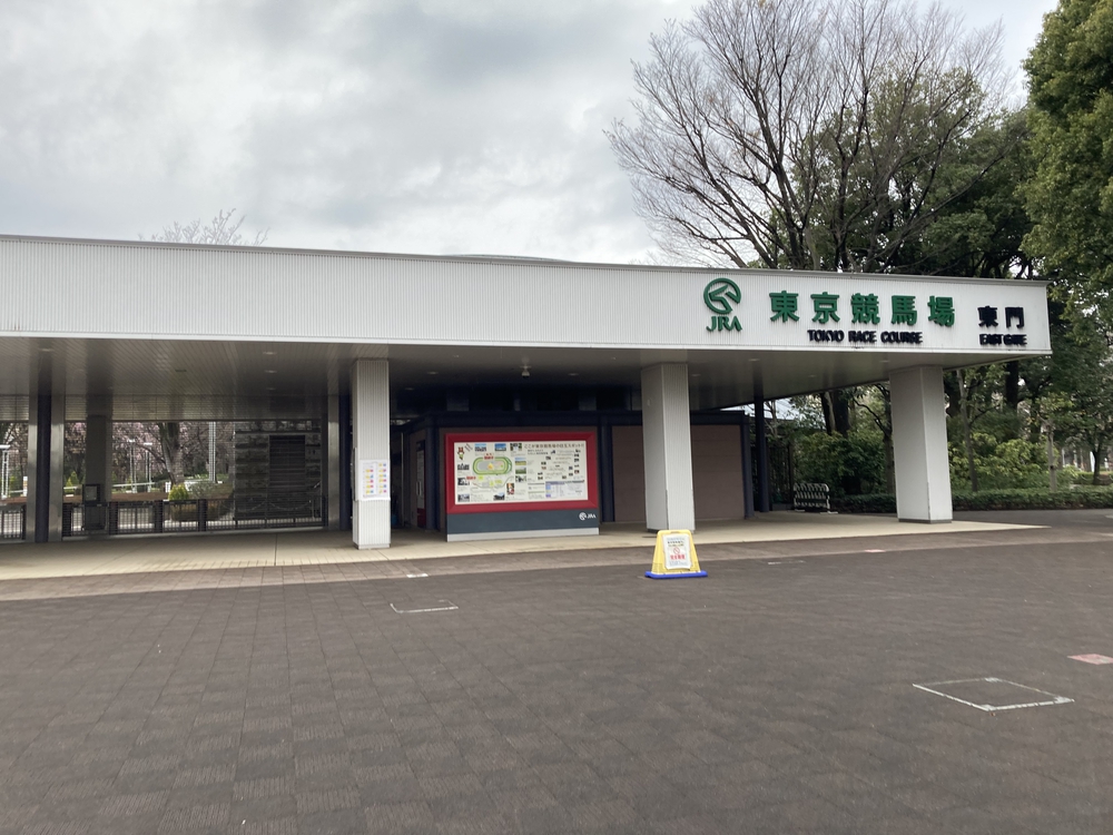 東京競馬場周回10kmの写真3