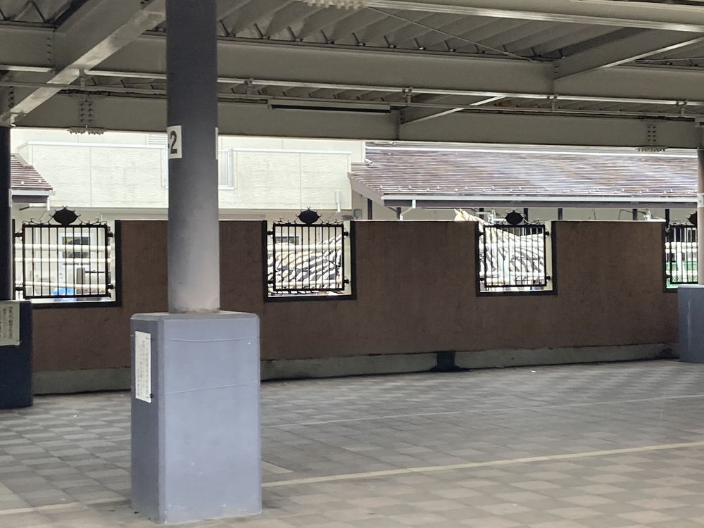 東京競馬場周回10kmの写真4