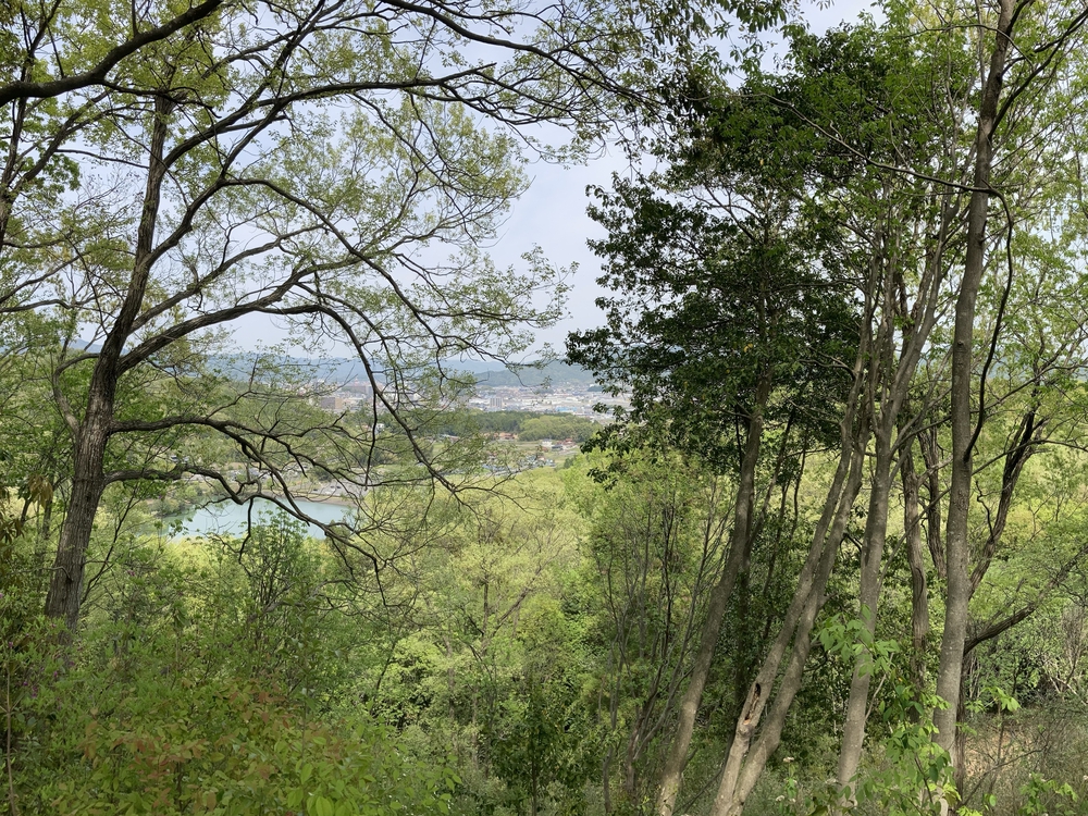 安芸西条　鏡山城跡でリフレッシュの写真3