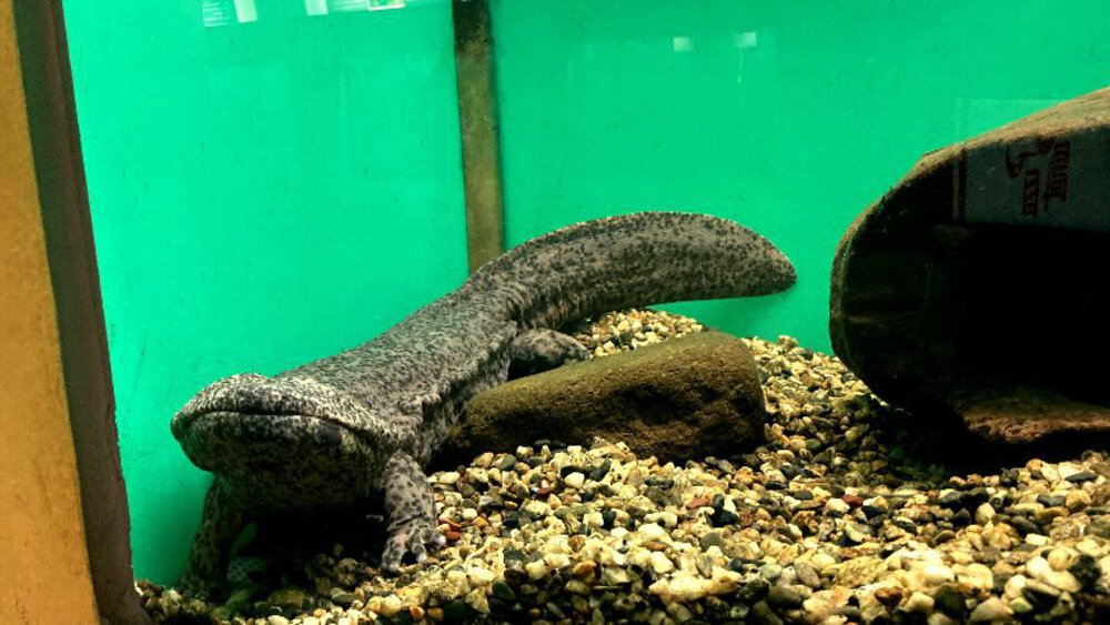 赤目四十八滝と青蓮寺ダムの写真7