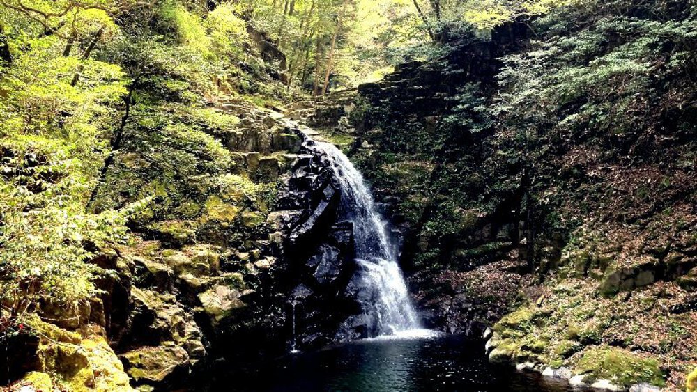 赤目四十八滝と青蓮寺ダムの写真8