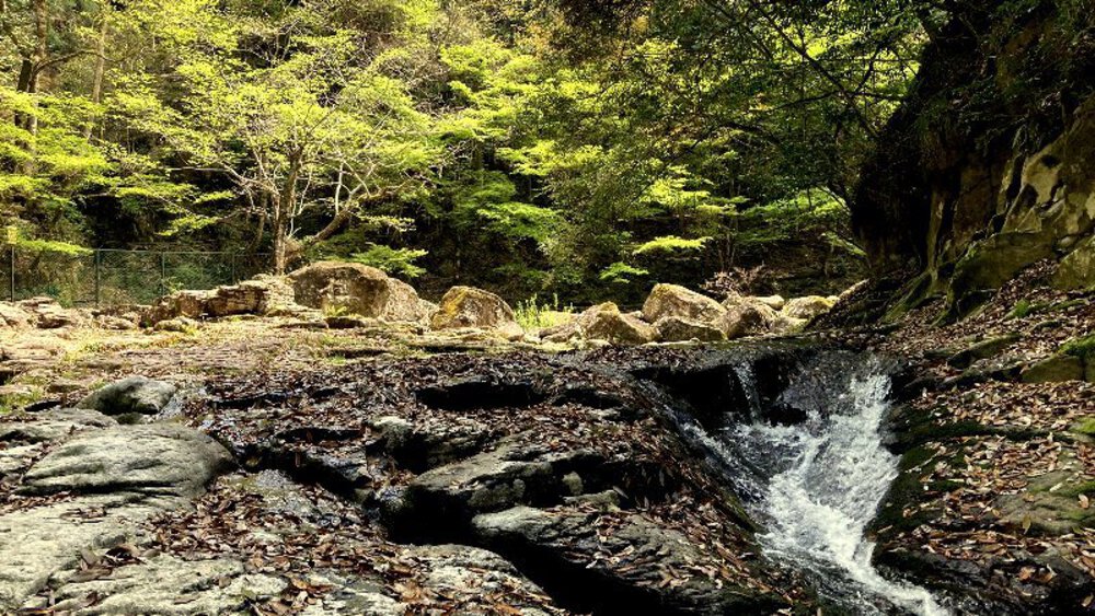 赤目四十八滝と青蓮寺ダムの写真9
