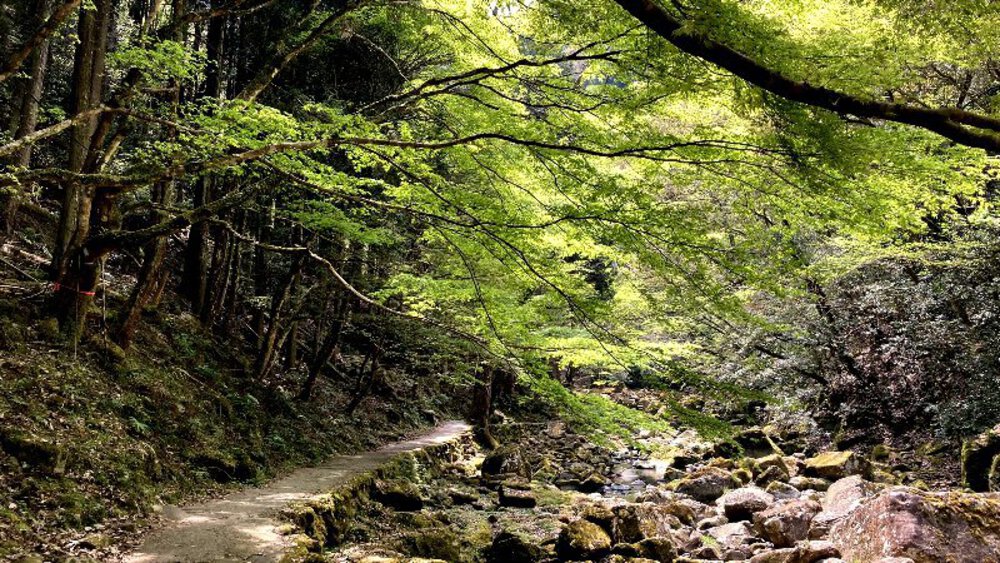 赤目四十八滝と青蓮寺ダムの写真10