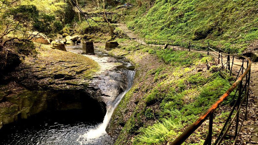 赤目四十八滝と青蓮寺ダムの写真13