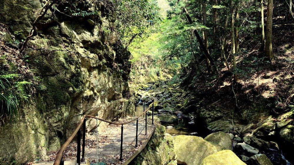 赤目四十八滝と青蓮寺ダムの写真14