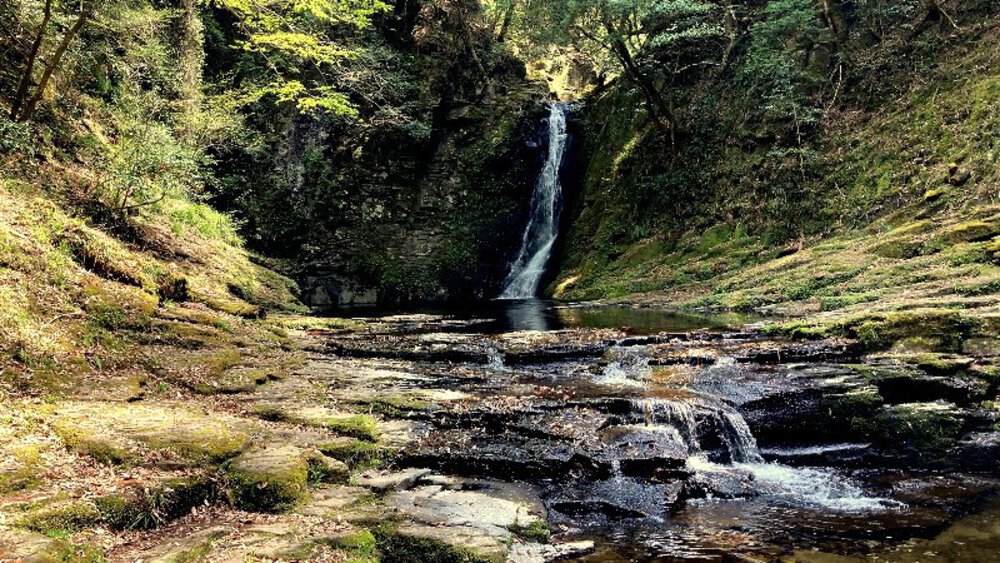 赤目四十八滝と青蓮寺ダムの写真18